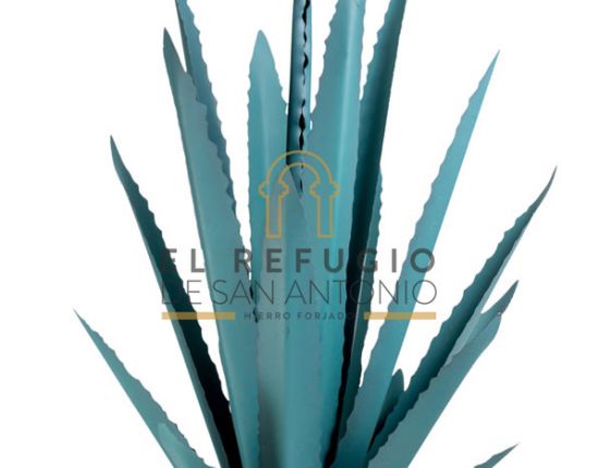 Agave Pintado